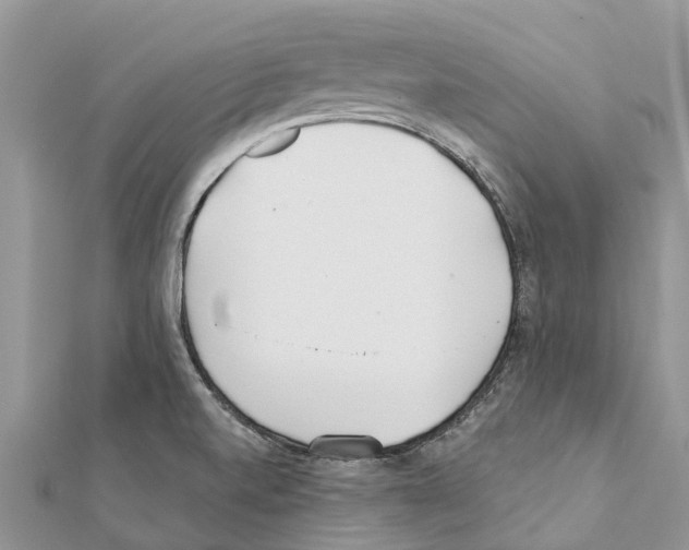 X0000111381520200908211329