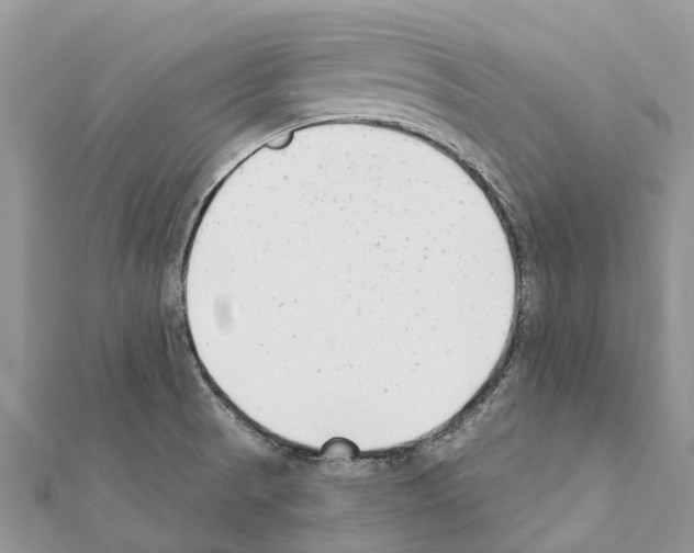 X0000111381521200908211329