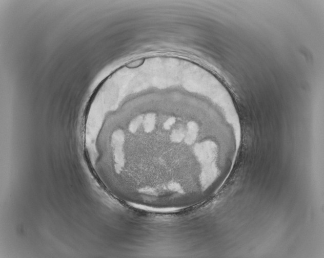 X0000111381522200908211329