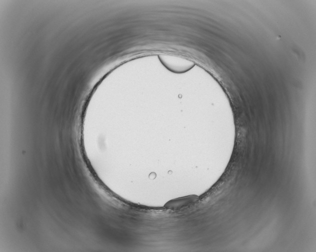 X0000111381523200908211329