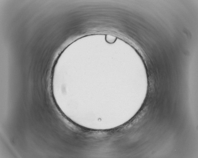 X0000111381525200908211329