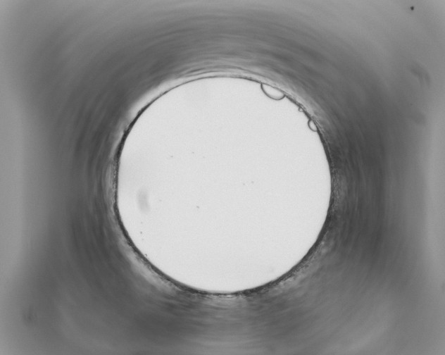 X0000111381526200908211329