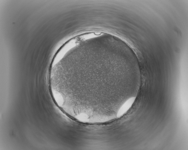 X0000111381527200908211329