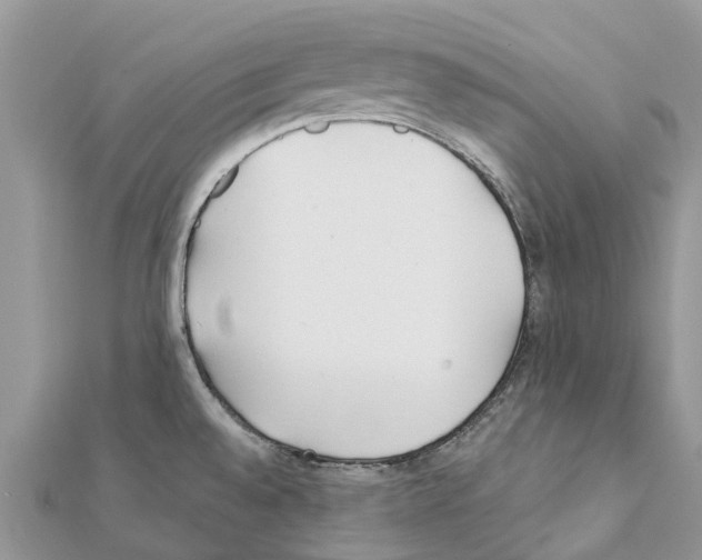 X0000111381528200908211329