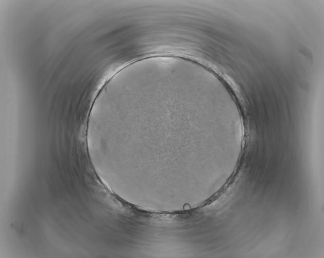 X0000111381529200908211329