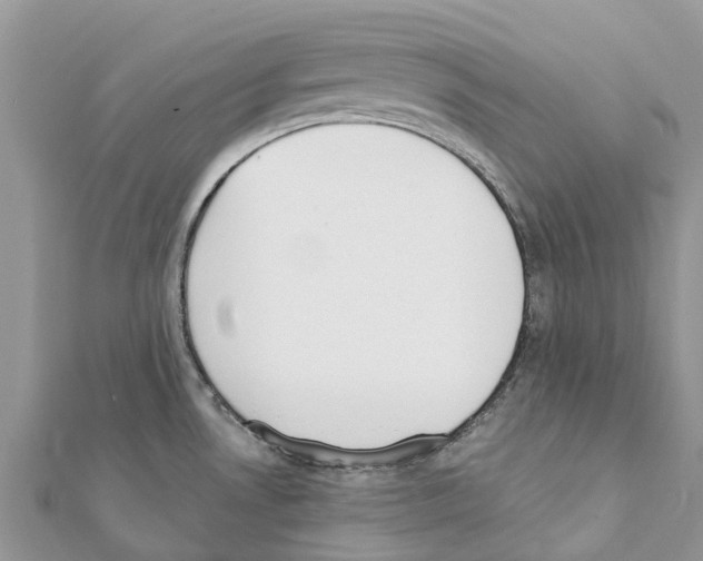 X0000111381530200908211329