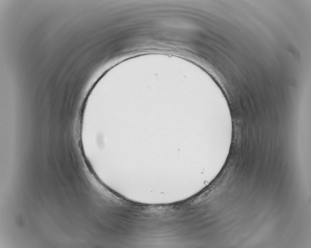 X0000111381531200908211329