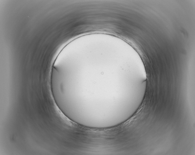 X0000111381532200908211329