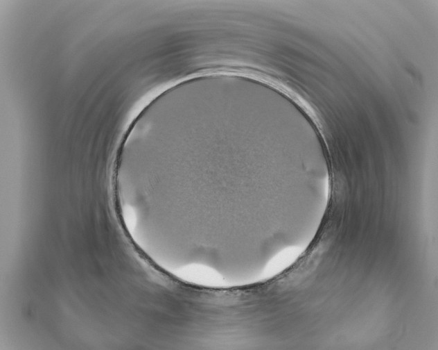 X0000111381533200908211329