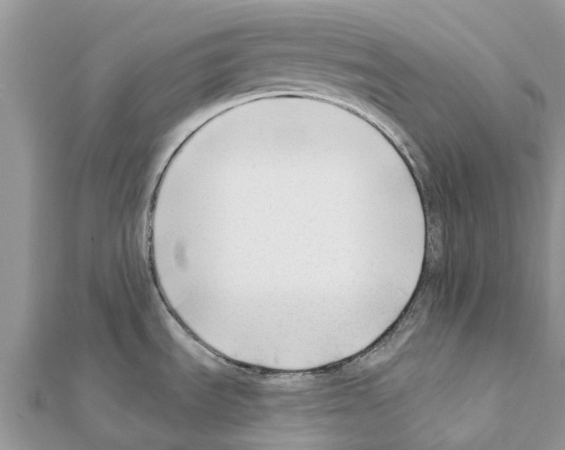 X0000111381535200908211329