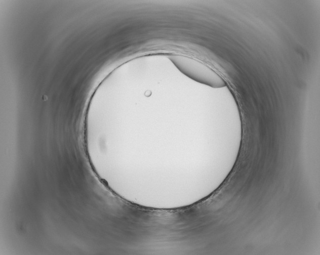 X0000111381536200908211329