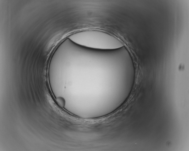 X0000111390002200907101012