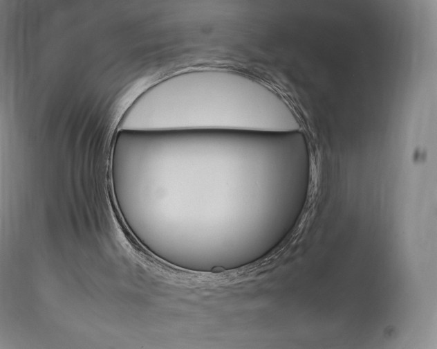 X0000111390003200907101012