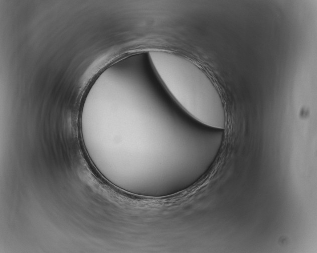 X0000111390004200907101012