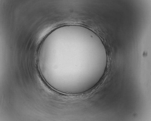 X0000111390005200907101012
