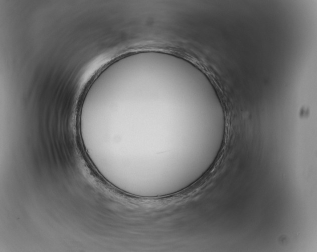 X0000111390006200907101012
