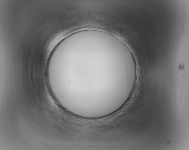 X0000111390007200907101012