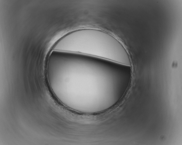 X0000111390008200907101012