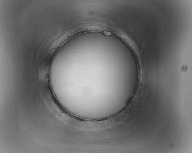 X0000111390009200907101012
