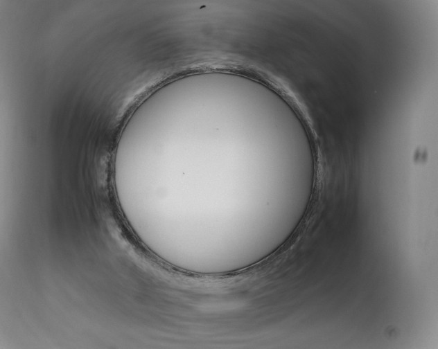 X0000111390010200907101012
