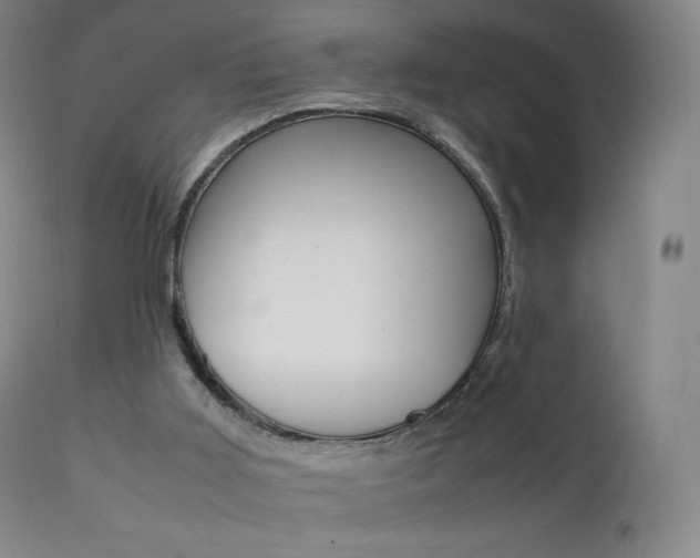 X0000111390011200907101012
