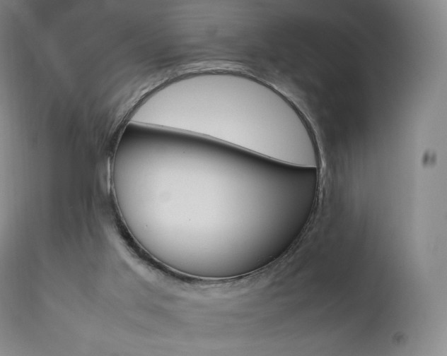 X0000111390013200907101012