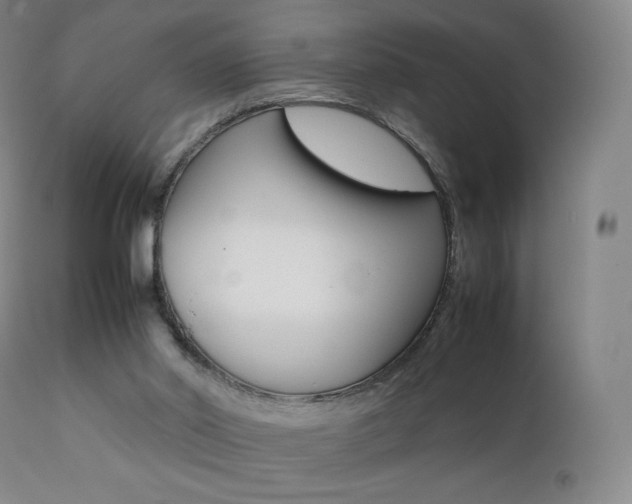 X0000111390014200907101012