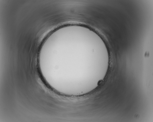 X0000111390015200907101012