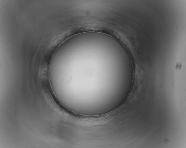 X0000111390017200907101012