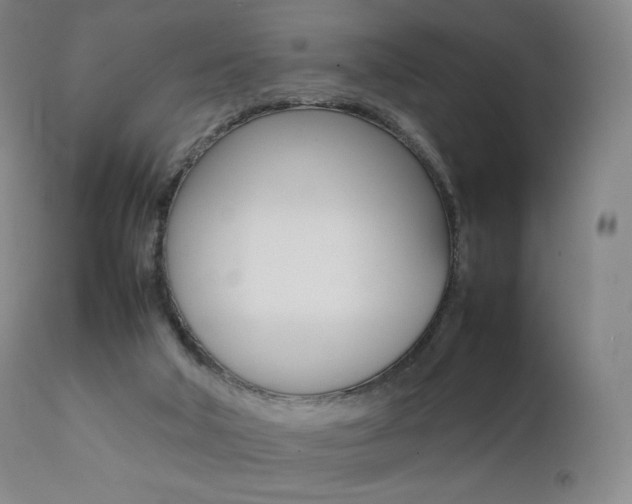 X0000111390018200907101012