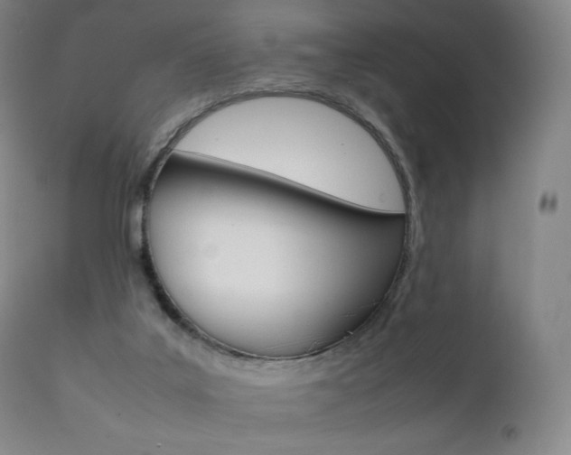 X0000111390019200907101012