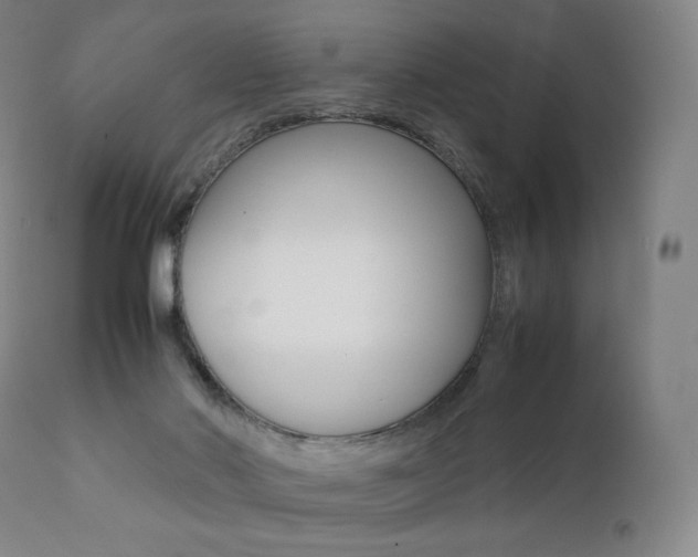 X0000111390022200907101012