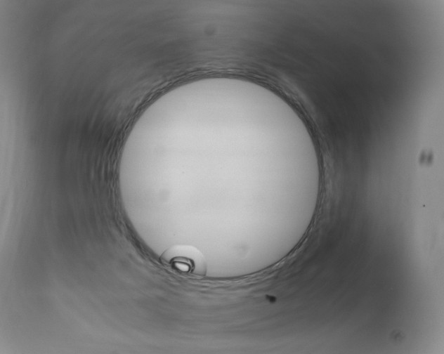 X0000111390025200907101012