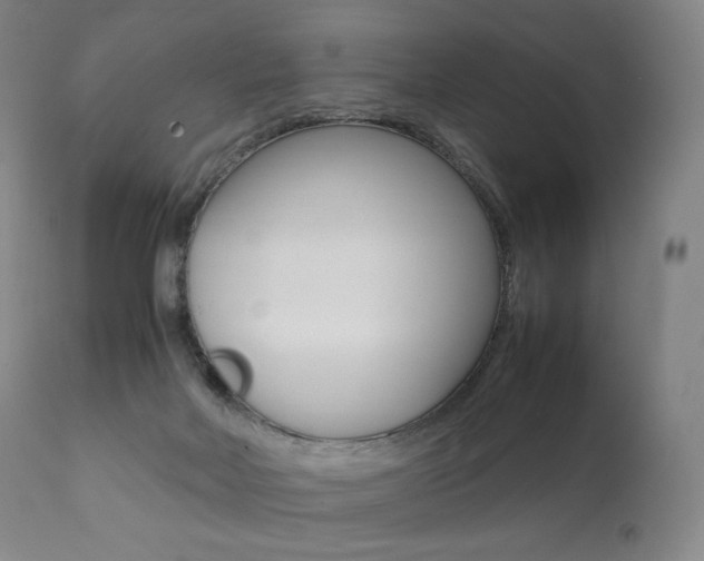 X0000111390026200907101012