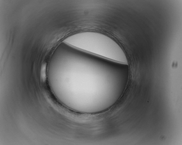 X0000111390028200907101012