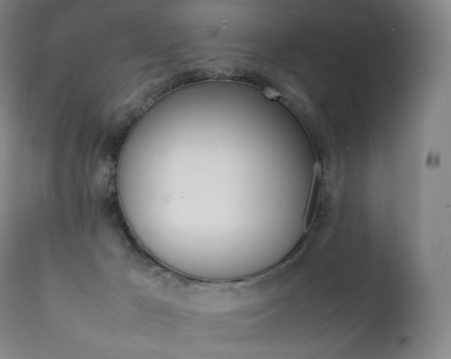 X0000111390029200907101012