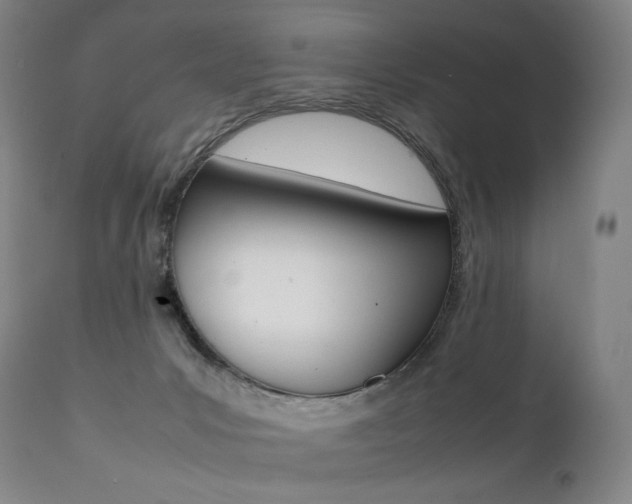 X0000111390031200907101012