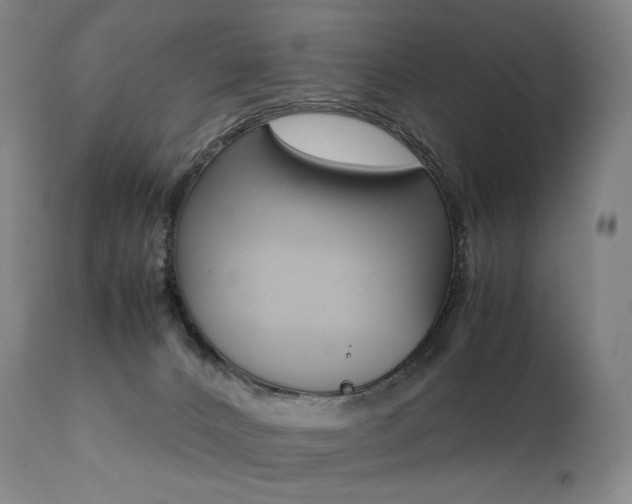 X0000111390032200907101012