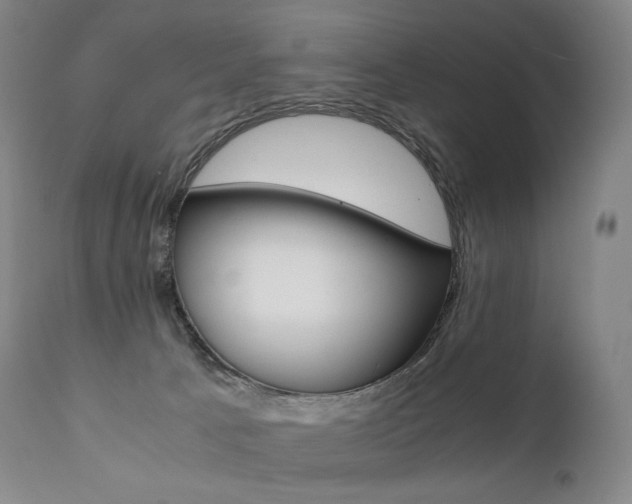 X0000111390033200907101012