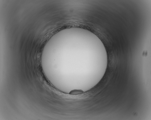 X0000111390034200907101012