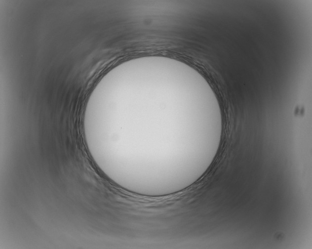 X0000111390035200907101012