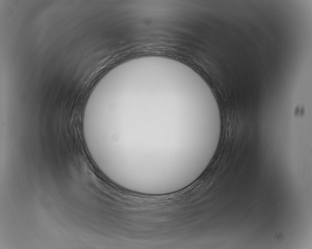 X0000111390036200907101012