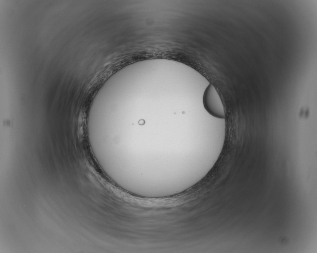 X0000111390038200907101012