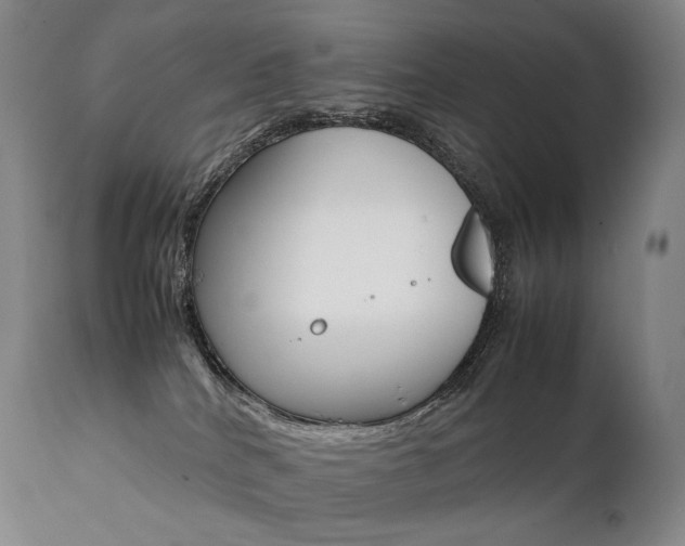 X0000111390040200907101011