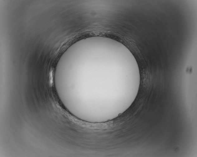 X0000111390042200907101011