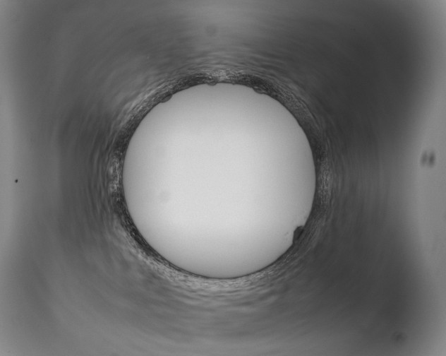 X0000111390043200907101011