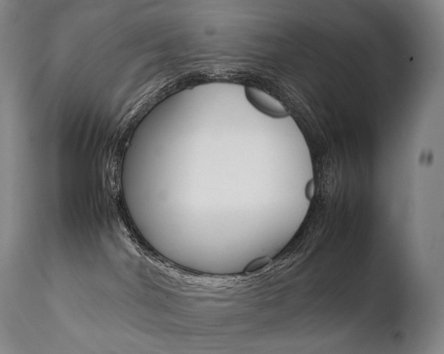 X0000111390044200907101011