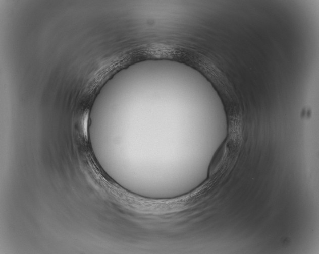 X0000111390047200907101011