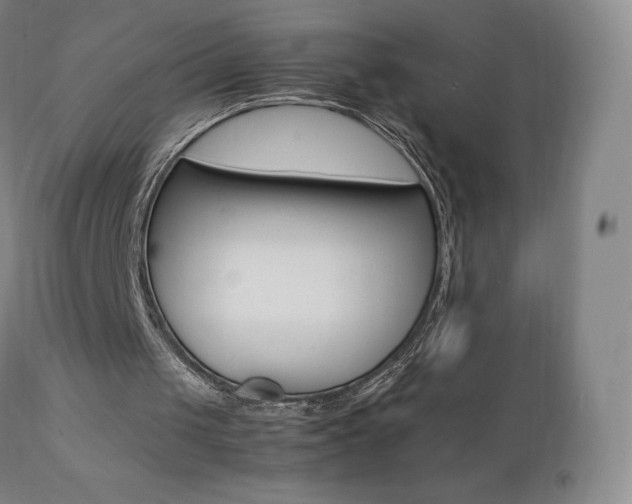 X0000111390049200907101011