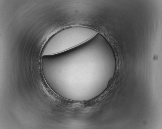 X0000111390050200907101011